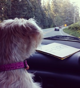 sunshine coast trail_adventuresomesoul.ca